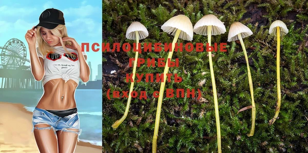 мет Балахна