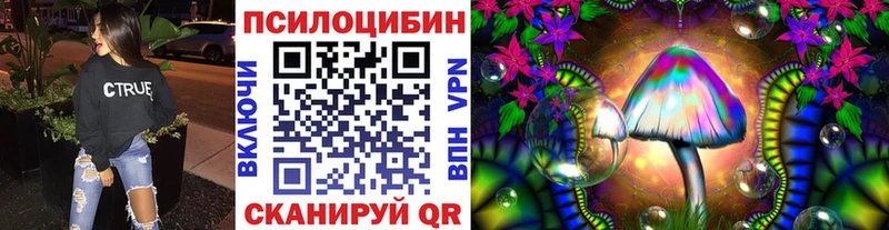 Псилоцибиновые грибы Psilocybe  Юрга 